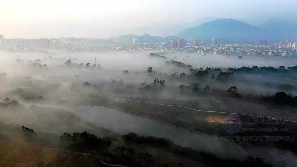 动词游戏